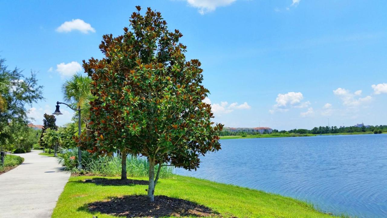 Newly Updated Condo W Scenic Resort View Orlando Extérieur photo